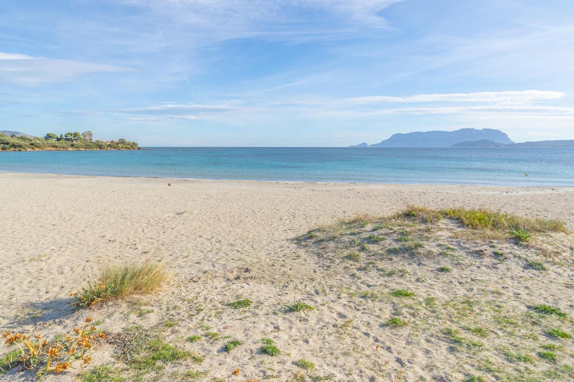 Brorent Casa Di Nettuno Appartamento Olbia